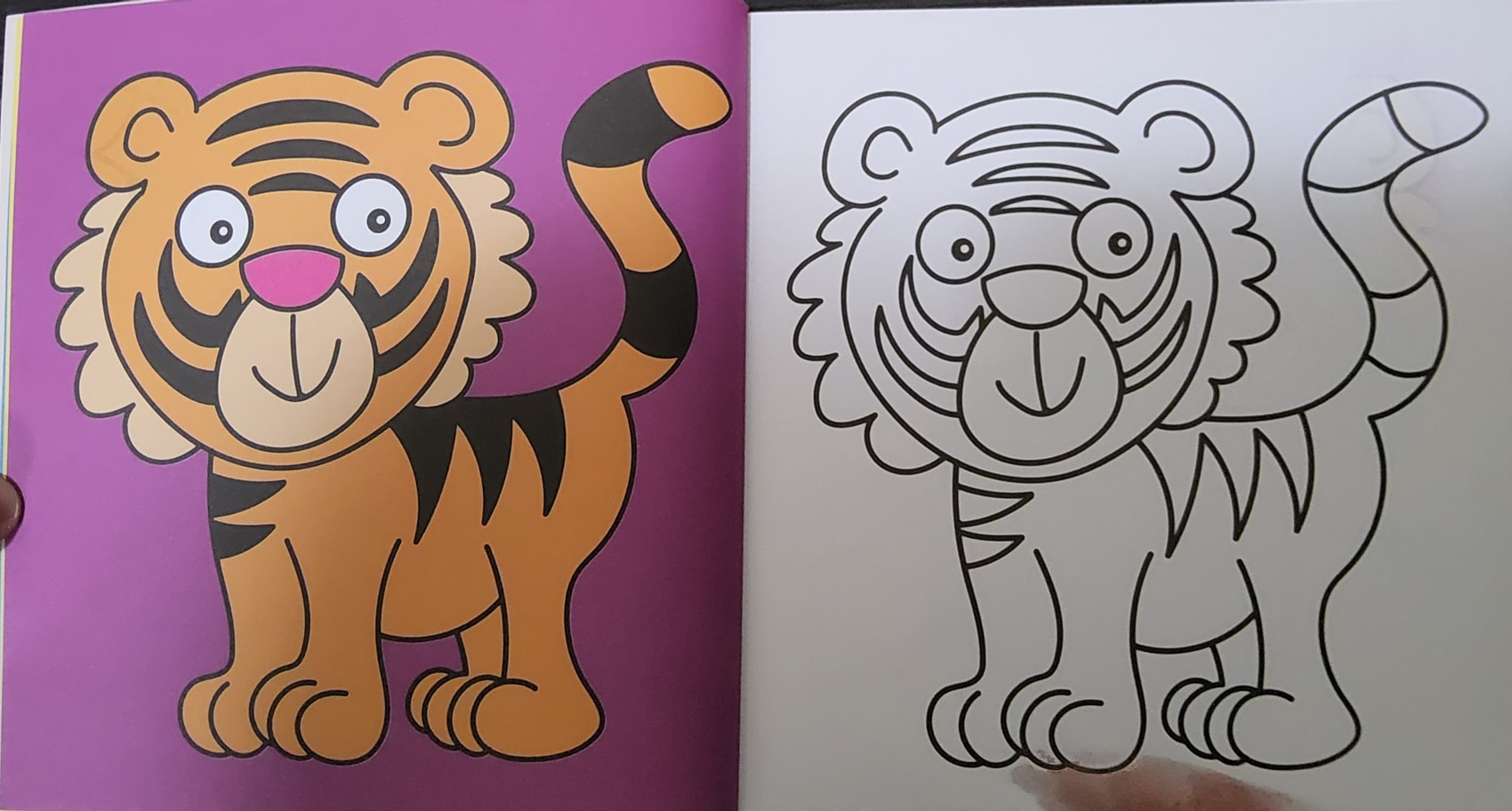 หนังสือวาดรูป Copy Colour