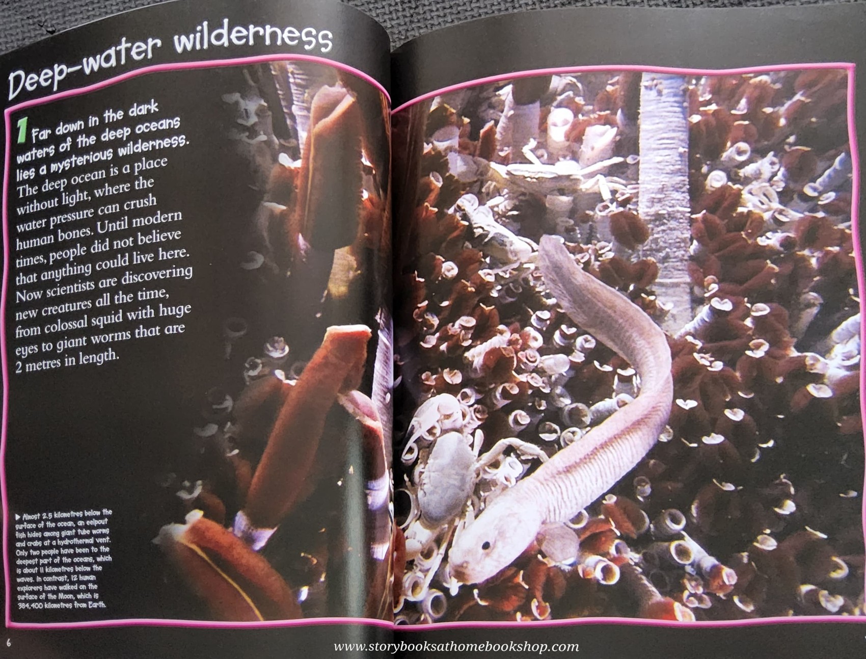 KNOWLEDGE BOOK** ♥️100 FACTS DEEP OCEAN