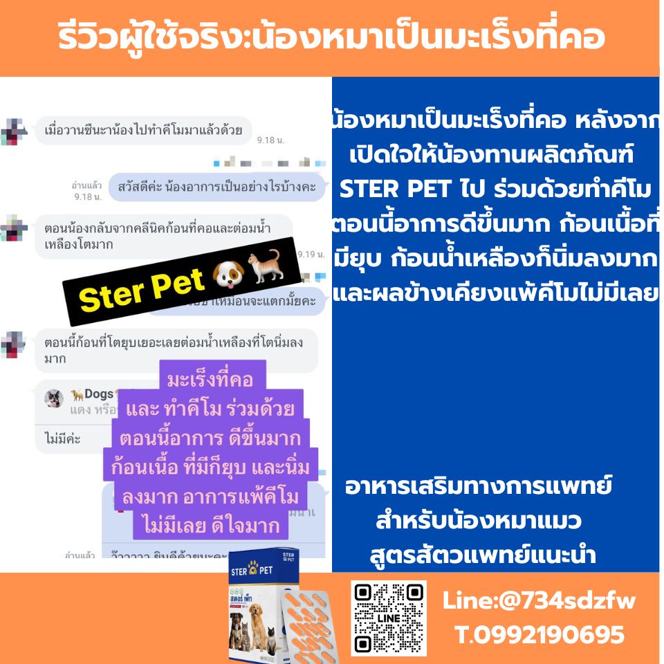 เซตทดลอง สเตอร์ เพ็ท Ster Pet เนื้องอกหมาแมว ก้อนเนื้อหมาแมว มะเร็งสุนัขแมว ลดอักเสบ ลดขนาดก้อนเนื้อ เบื่ออาหาร น้ำหนักลด ไตวายหมาแมว แผลยุบเร็ว ( 15 แคปซูล)
