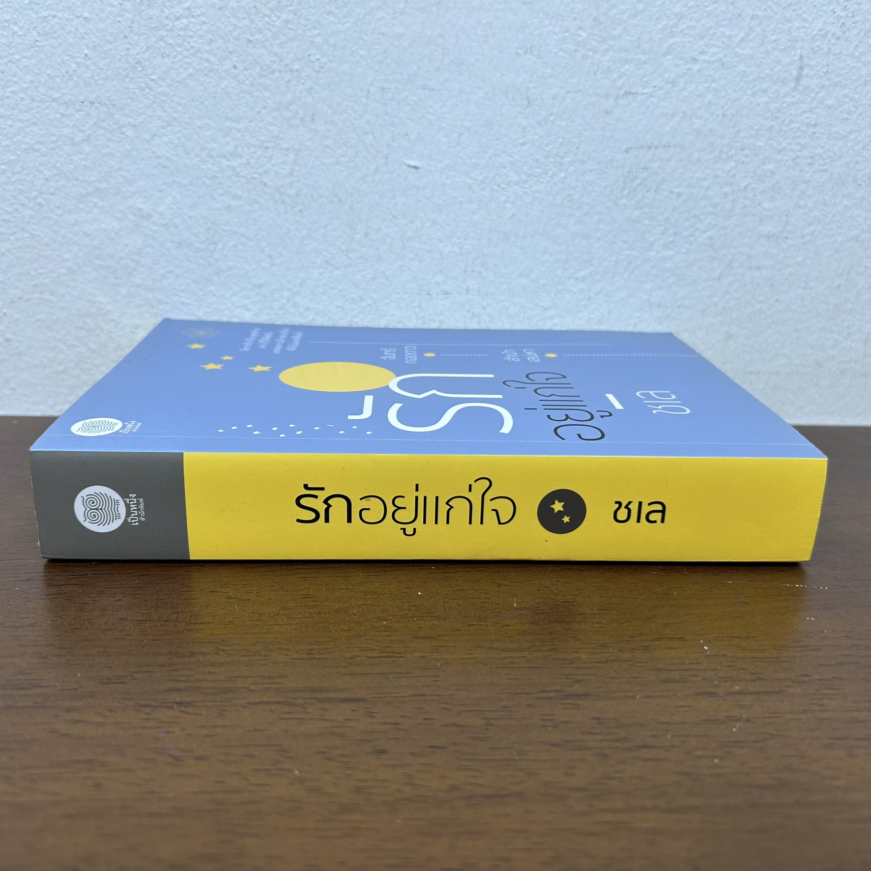 รักอยู่แก่ใจ ... ชเล (มือสอง) นิยาย โรแมนติก เป็นหนึ่ง