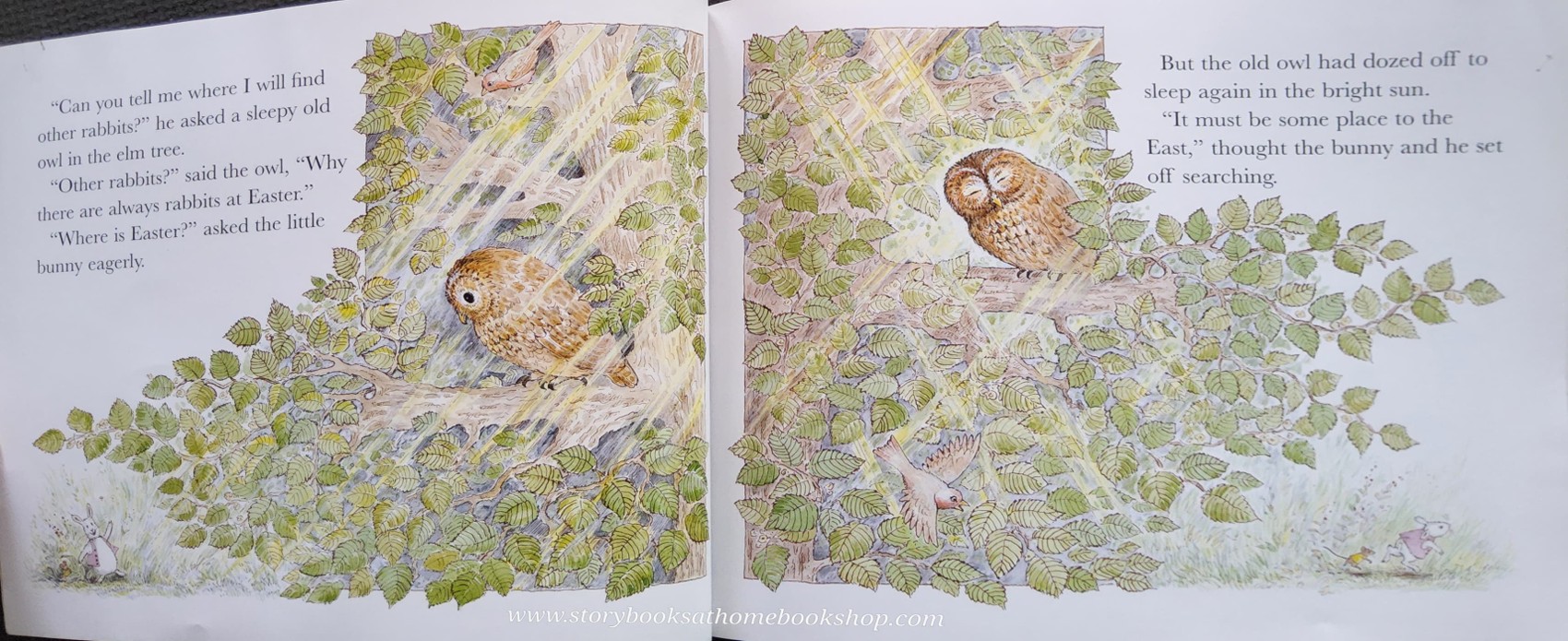 หนังสือนิทานปกอ่อน** 🍅🍓THE BUNNY WHO FOUND EASTER