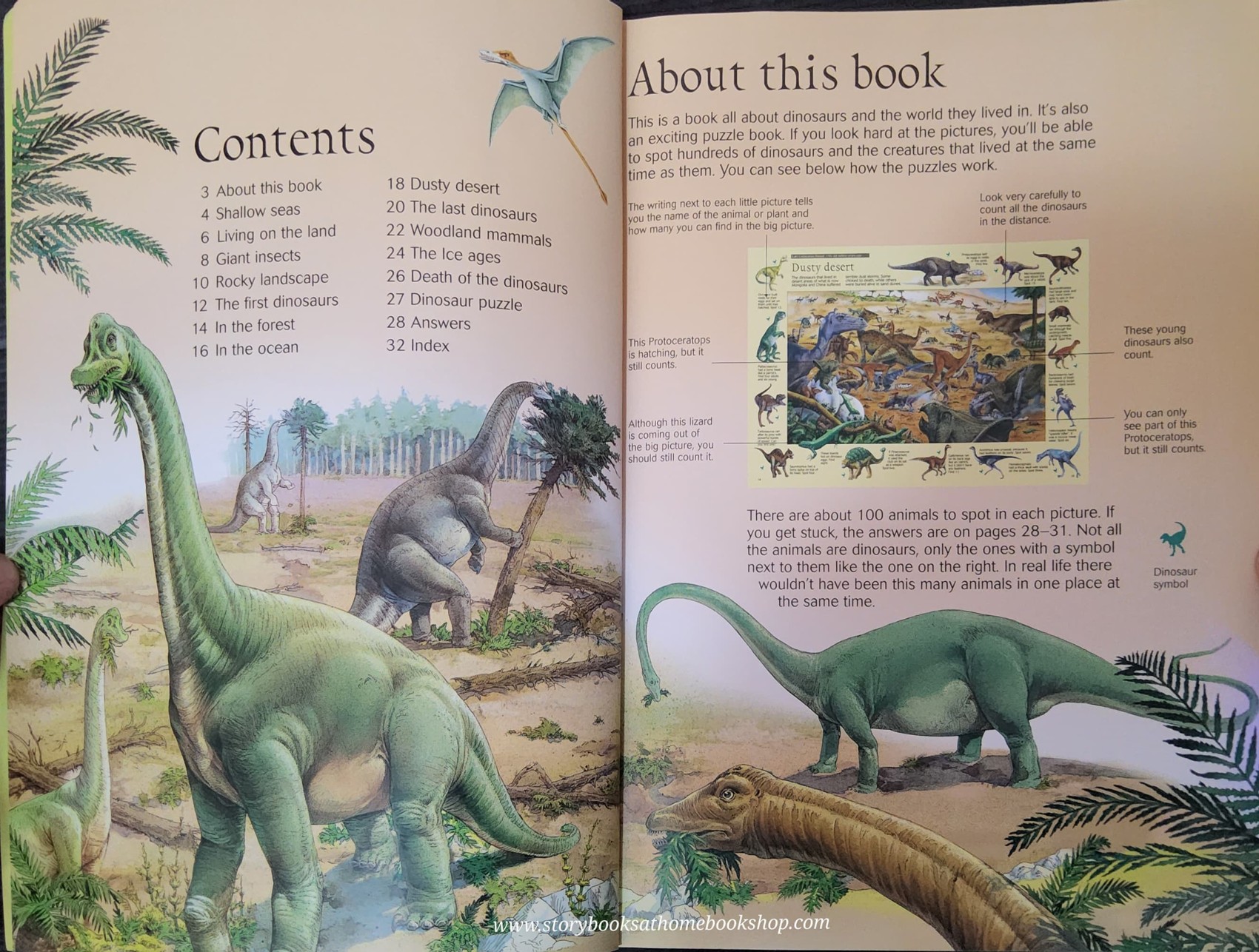 PUZZLE BOOK** ð
USBORNE THE GREAT DINOSAUR SEARCH