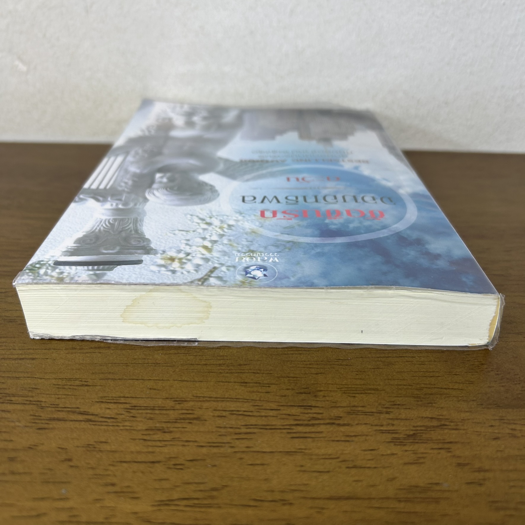 ขัดขืนรักจอมอิทธิพล ... ตะวัน (มือสอง) นิยาย พลอยวรรณกรรม โรมานซ์