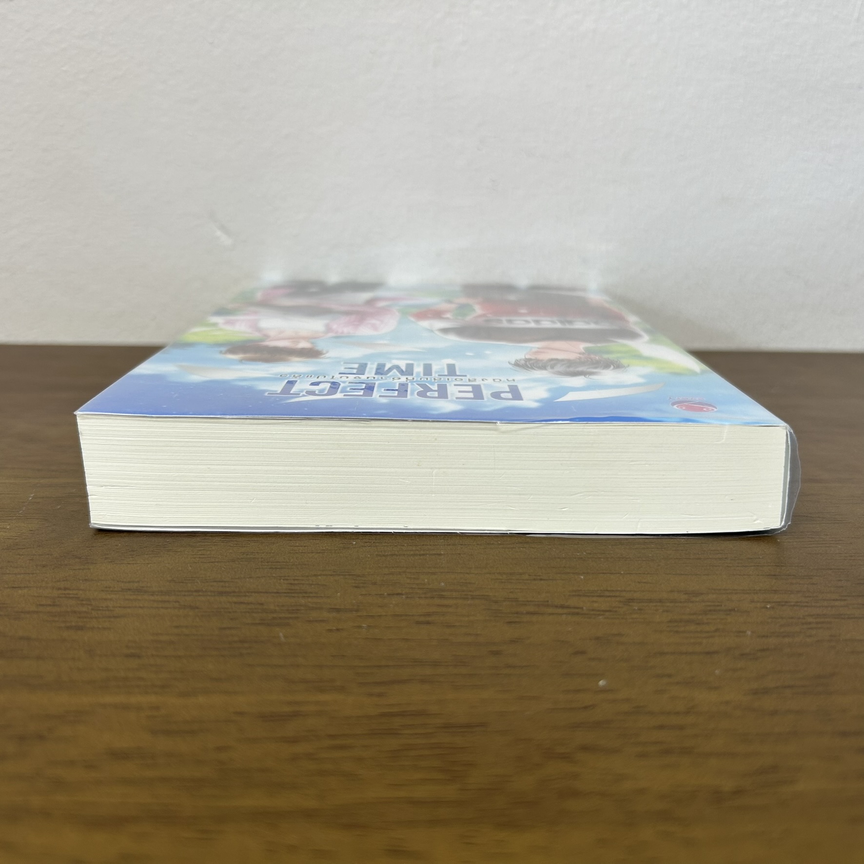 [YAOI] Perfect Time หนังสือเล่มที่อ่านจบไปแล้ว ... afterday (มือสอง) นิยายวาย everY