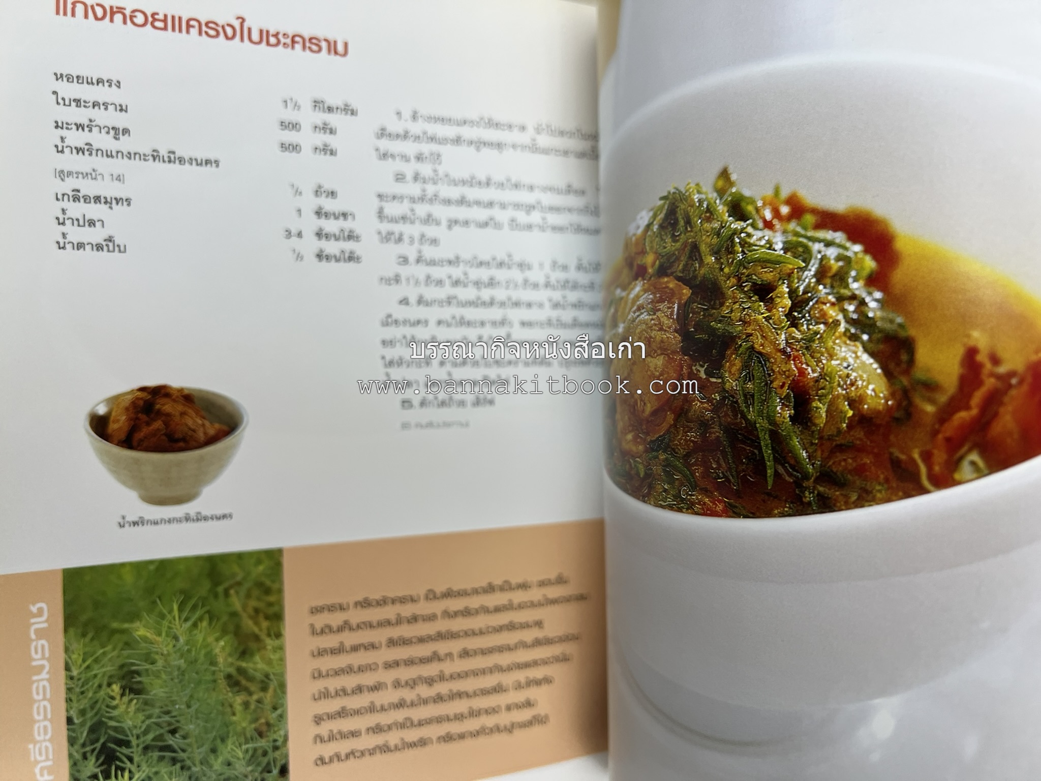 ข้าวแกงเป็นอาชีพ โดย : สำนักพิมพ์แสงแดด.