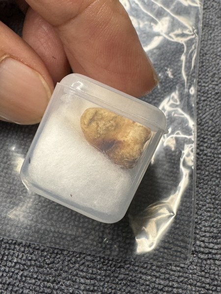 พระทันตธาตุ ครูบาแขนดำ หรือครูบากอ วัดวาฬุการาม อ.ฝาง จ.เชียงใหม่ ได้มาจากลุงอำนาจ อายุ 72 ปี อาชีพขายข้าวสาร ใน อ.เชียงดาว อ.ฝาง ทำสวนปลูกข้าวขาย ลุงอำนาจท่านเป็นลูกศิษย์ของครูบากอ ยามว่างท่านก็มาขับรถให้ครูบากอ ลุงอำนาจได้รับพระทันตธาตุมาให้ปี 2562