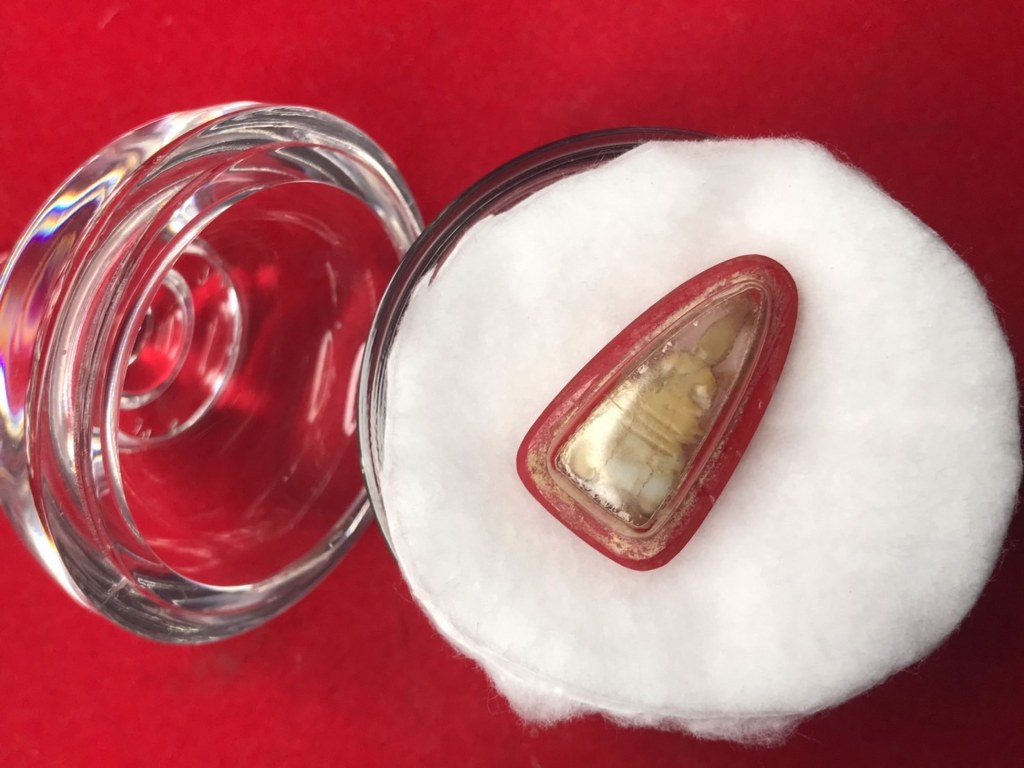 พระทันตธาตุ แกะเป็นรูปพระพุทธ หลวงปู่ขาน วัดบ้านเหล่า อ.เวียงเชียงรุ่ง จ.เชียงราย ได้มาจากครูประหยัด อายุ ๖๐ ปี (บันทึก พ.ศ.๒๕๖๖) เคยสอนอยู่ที่โรงเรียนสันโค้ง จ.เชียงราย ปัจจุบัน (พ.ศ.๒๕๖๖) เกษียณอายุแล้ว เดิมทีเลี่ยมทองไว้ แต่ได้แกะทองไปขายแล้ว