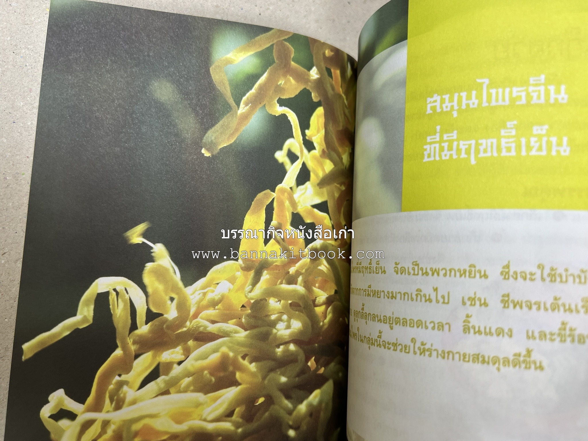 มหัศจรรย์สมุนไพรจีน โดย : บริษัทหลักทรัพย์จัดการกองทุน กสิกรไทย จำกัด.