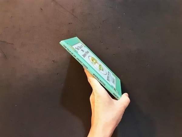 หนังสือนิทานปกแข็ง** 🍅🍓THE TALE OF MR.JEREMY FISHER BY BEATRIX POTTER