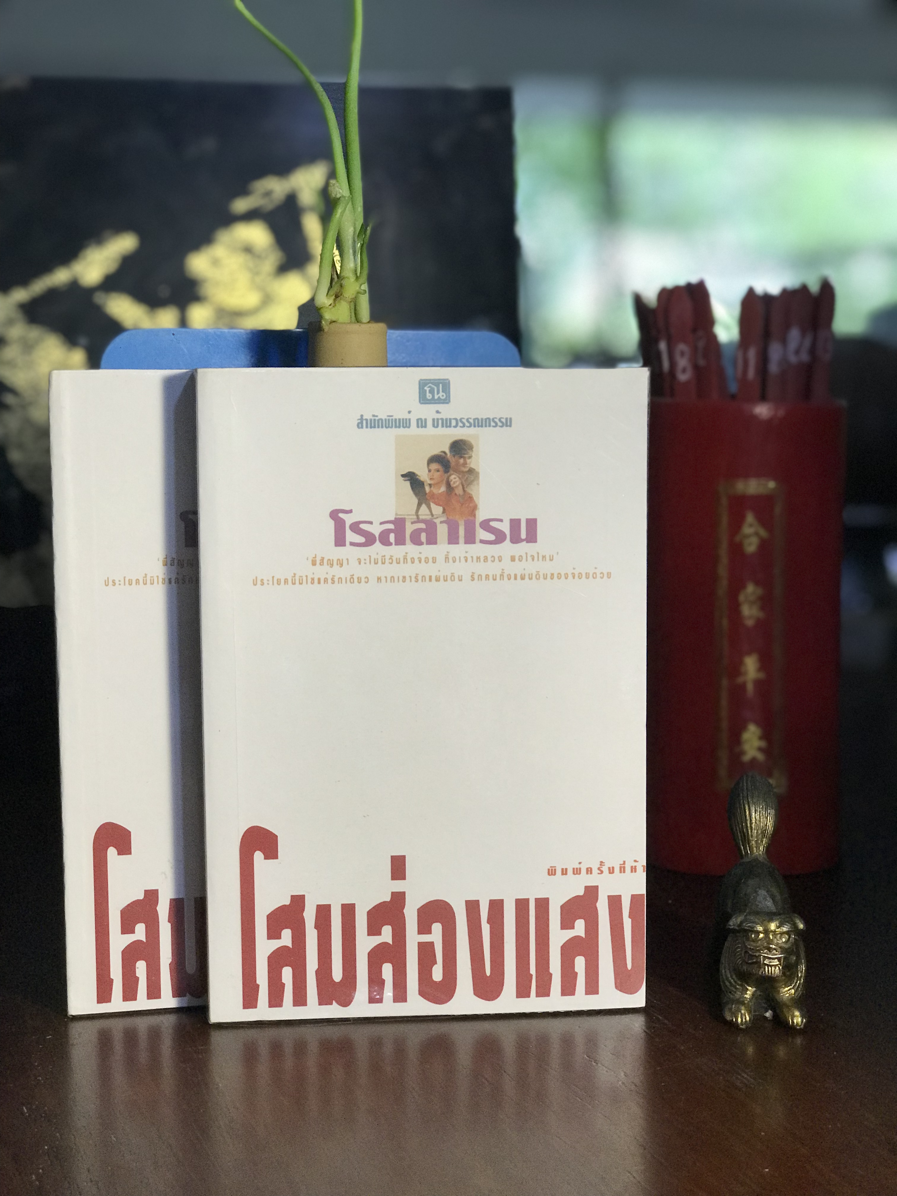 โสมส่องแสง ผู้เขียน โรสลาเรน สำนักพิมพ์ ณ บ้านวรรณกรรม | H1