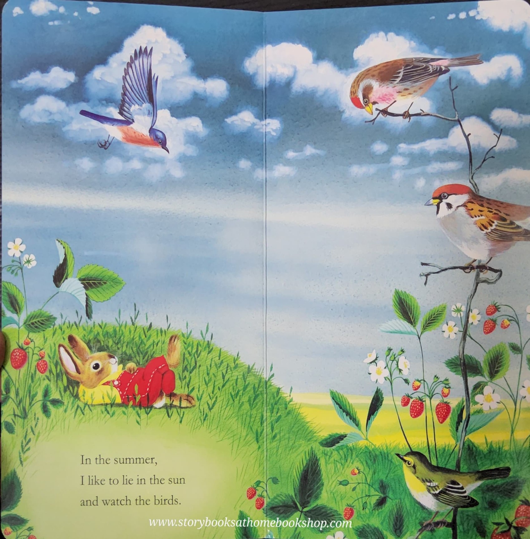 BOARD BOOK** ð
ð
RICHARD SCARRY'S I AM A BUNNY