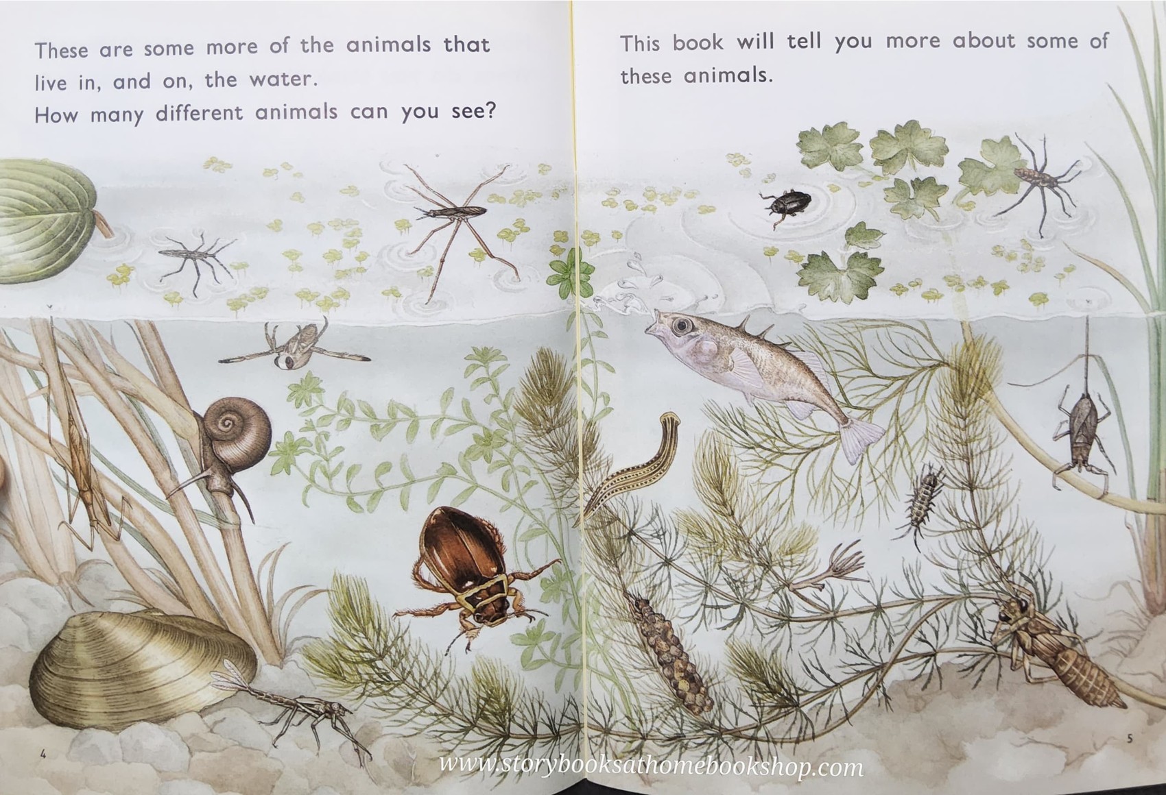 Knowledge Book** ð
ð
FUZZBUZZ FACTS: POND ANIMALS LEVEL2