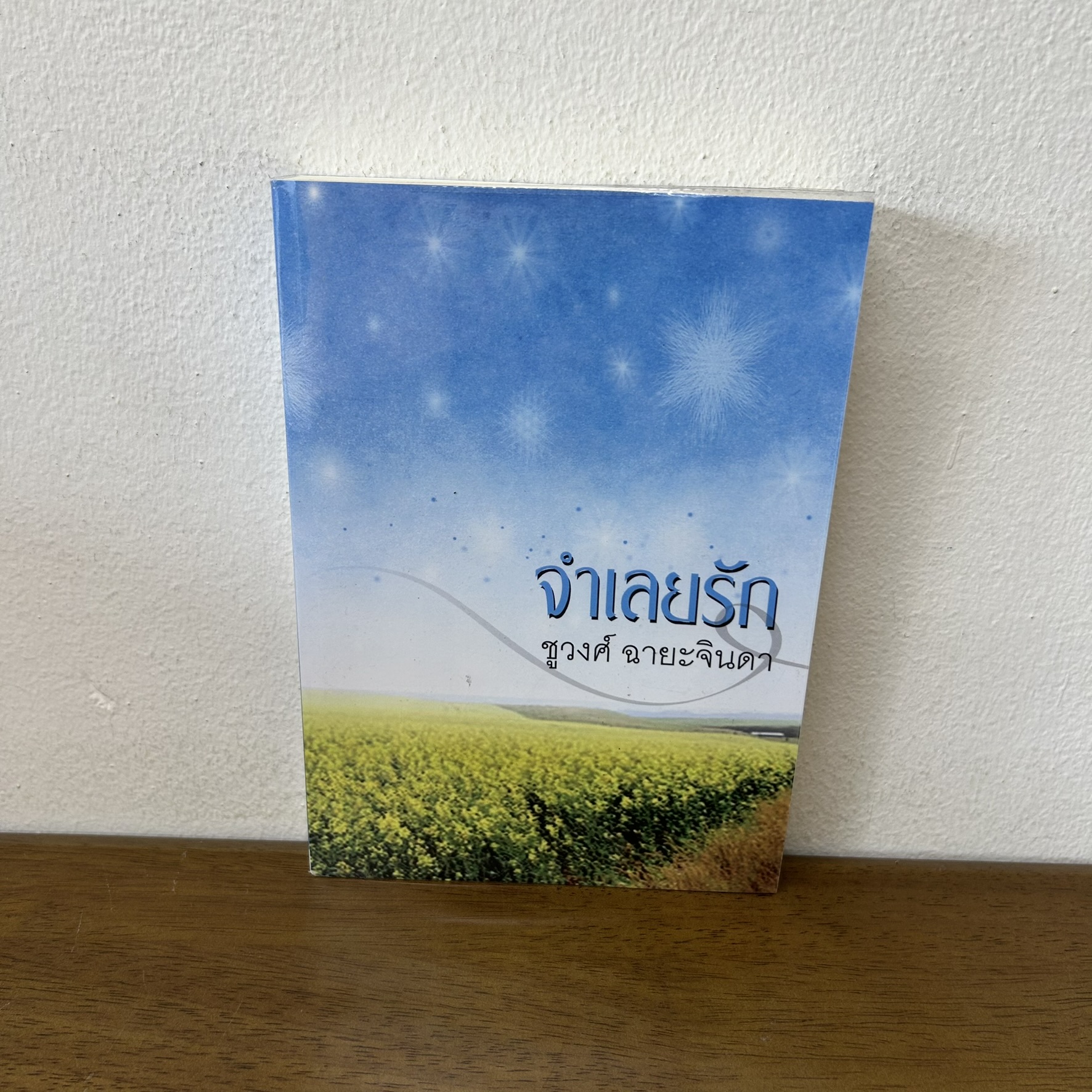จำเลยรัก ... ชูวงศ์ ฉายะจินดา (มือสอง) นิยาย โรแมนติก เพื่อนดี