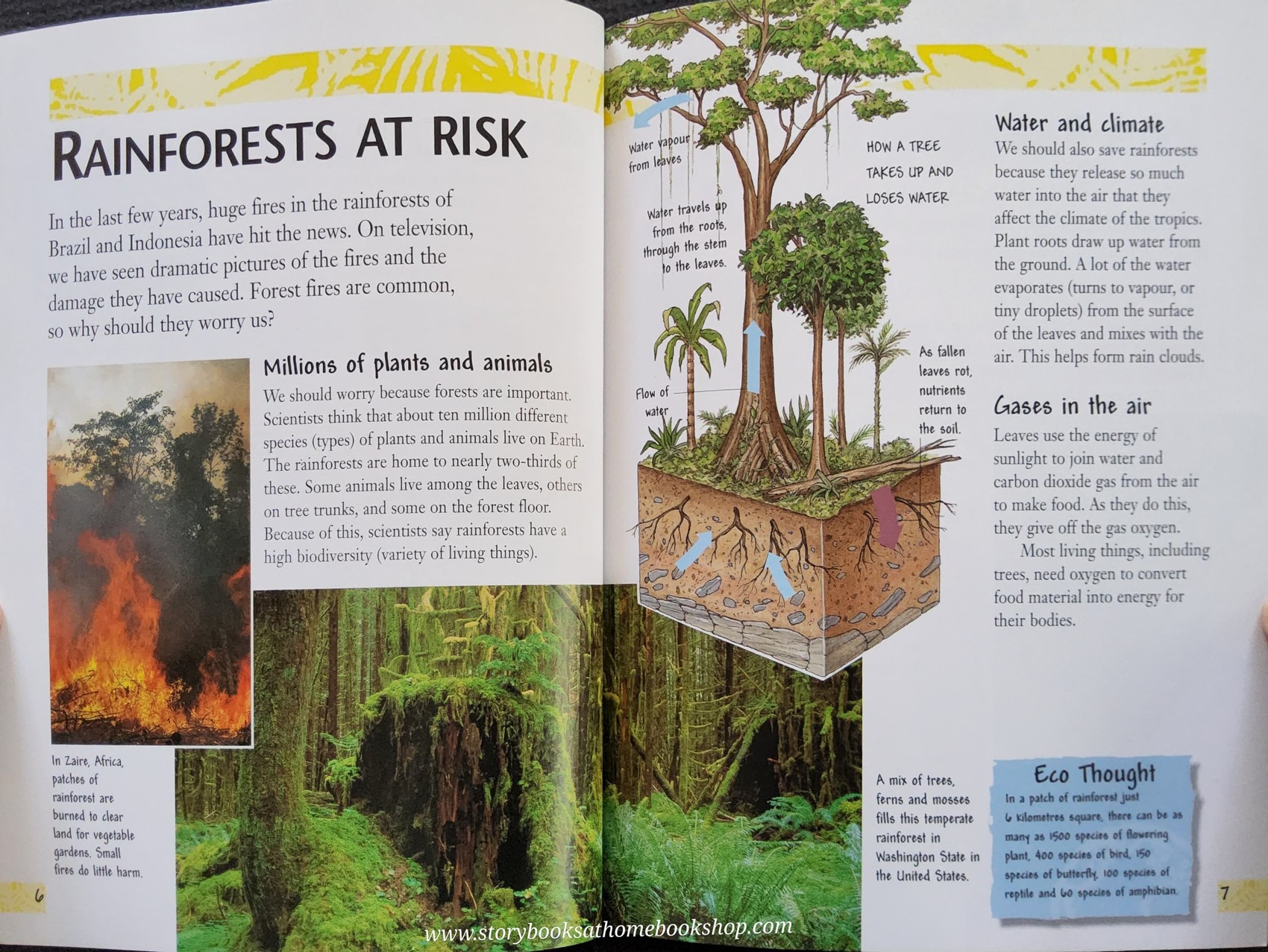 KNOWLEDGE BOOK** ♥️♥️EARTH WATCH SAVING THE RAINFOREST