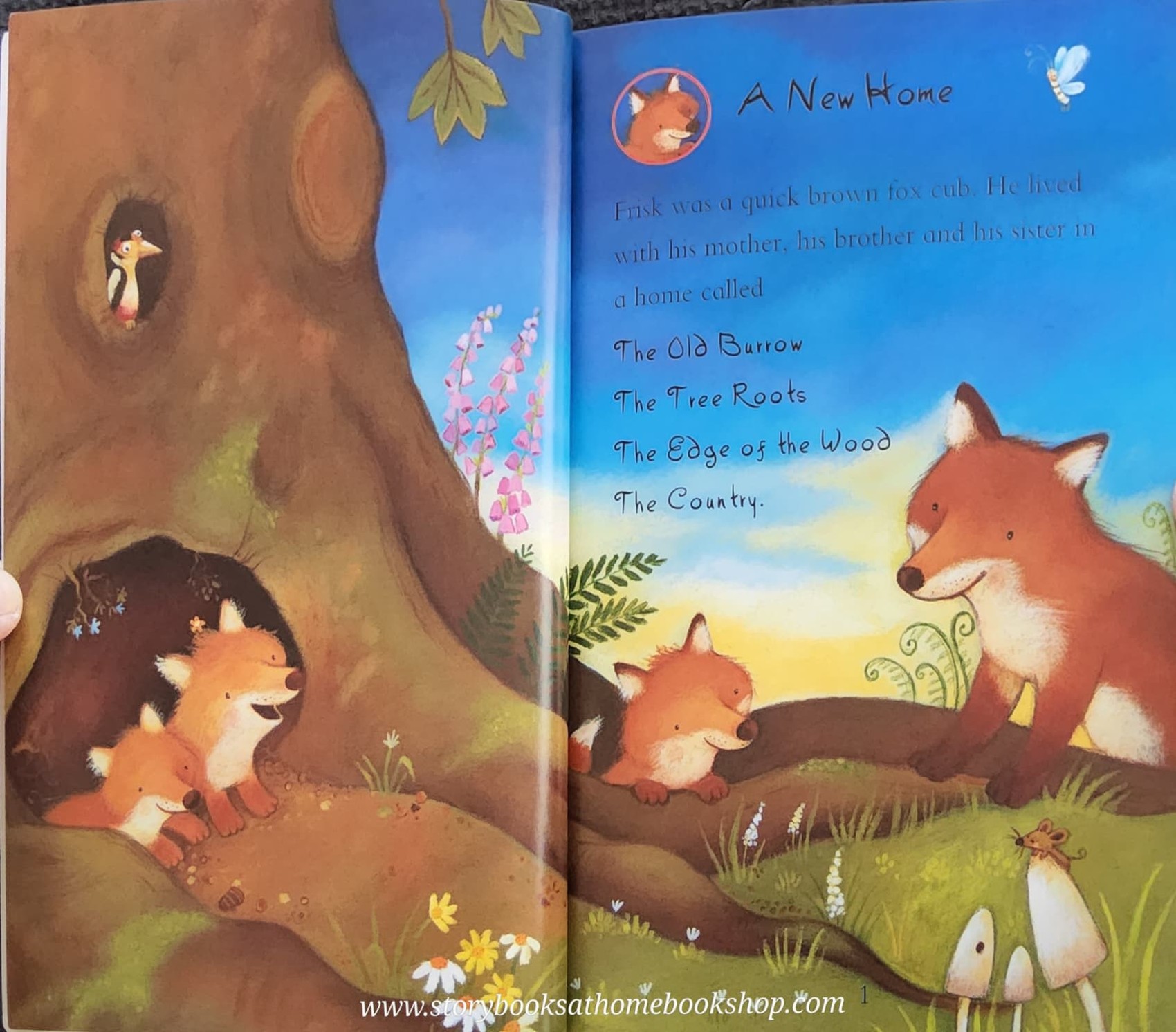 หนังสือนิทานปกอ่อน** 🍅ANMALS IN SCHOOL (2 STORIES IN 1) BY JULIA DONALDSON