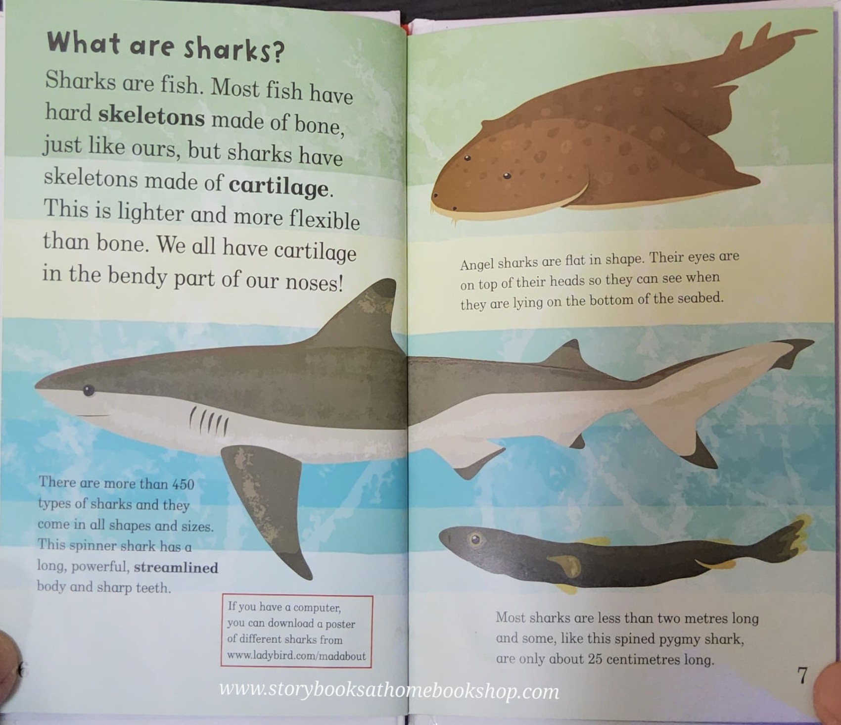 หนังสือนิทานปกแข็ง** 🍅🍓MAD ABOUT SHARKS