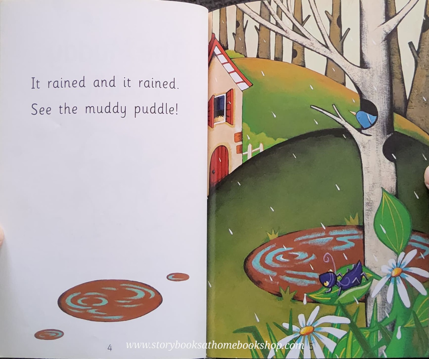 หนังสือนิทานปกอ่อน** ♥️START READING: THE MUDDY PUDDLE
