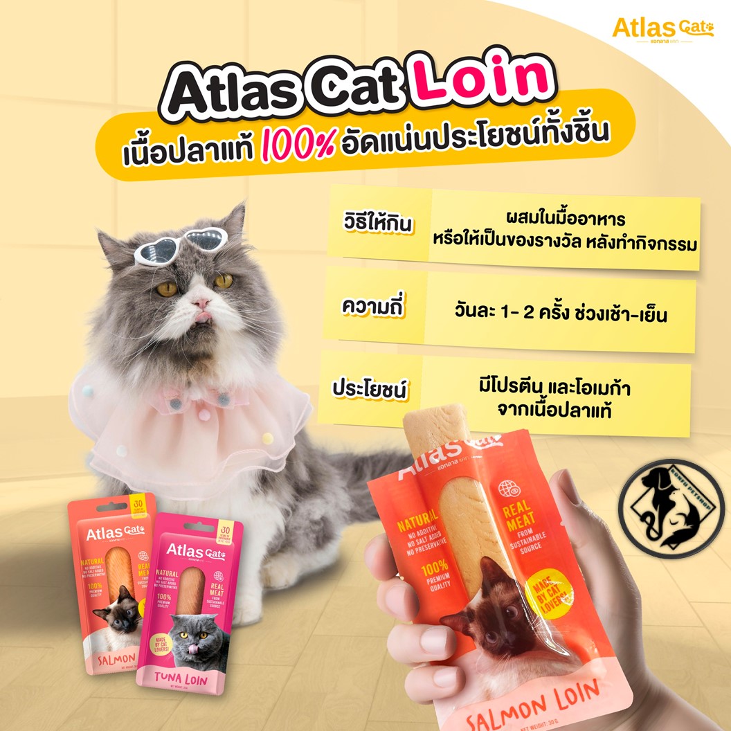 Atlas Cat Loin แอทลาส แคท ทูน่าชิ้น แซลมอนชิ้น เนื้อปลาแท้ ๆ 100% ขนาด 30g