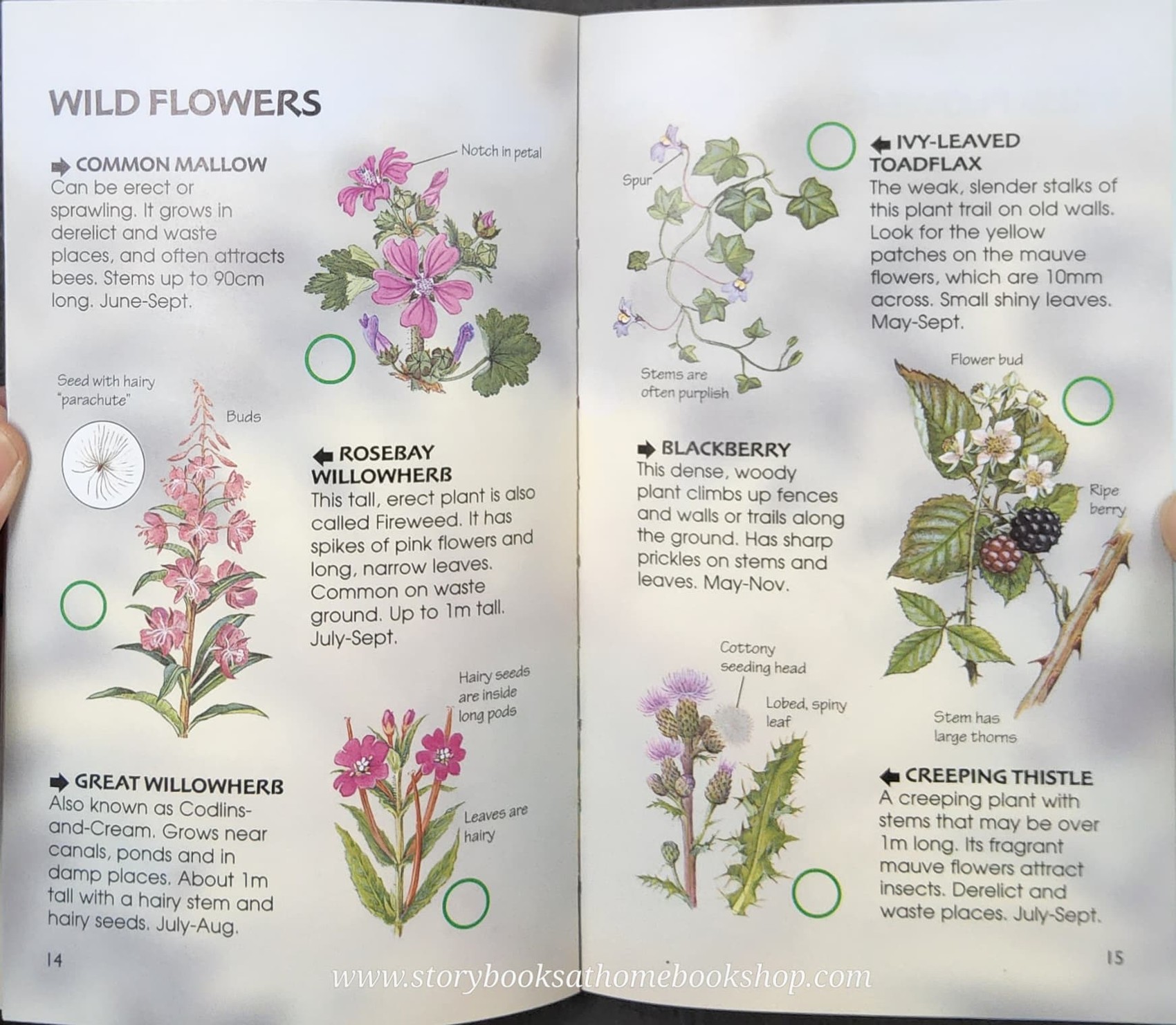 Knowledge Book** ð
ð
Usborne Spotter's Guide URBAN WILDLIFE