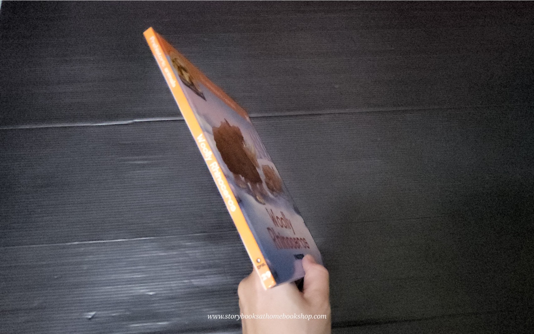 หนังสือนิทานปกแข็ง** 🍅🍓DINOSAURS&FRIENDS READ.LEARN.PLAY:PREHISTORIC ANIMALS:WOOLLY RHINOCEROS #29