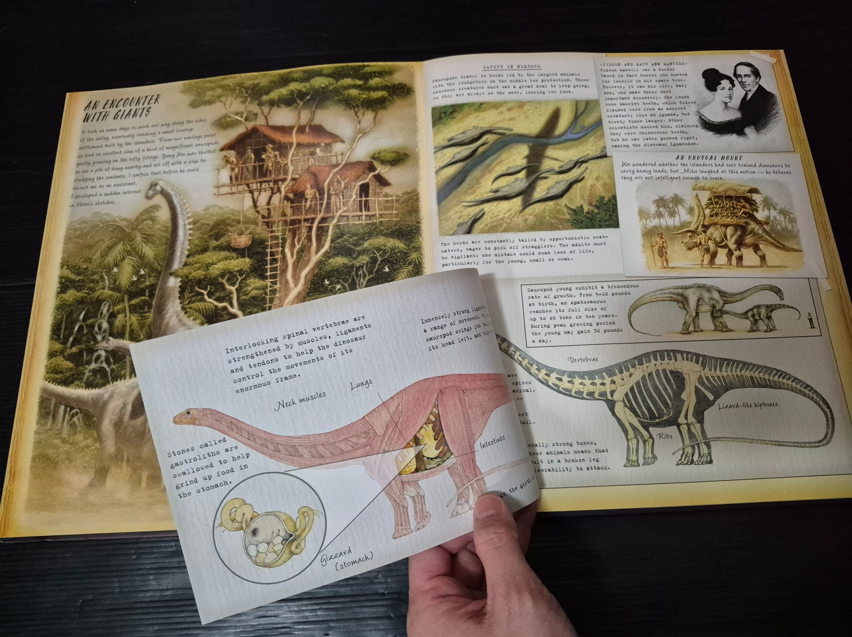 KNOWLEDGE BOOK ** ð
ðDINOSAUROLOGY THE SEARCH FOR A LOST WORLD