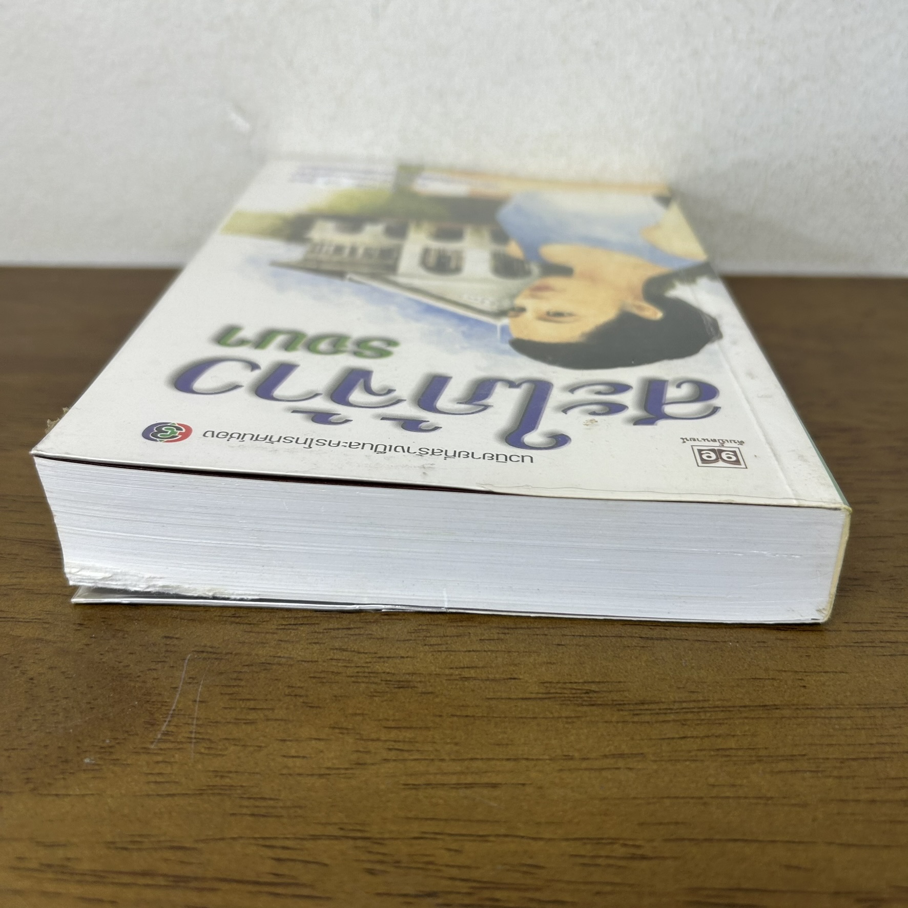 สะใภ้จ้าว ... รจนา (มือสอง) นิยาย นิยายรัก โรแมนติก