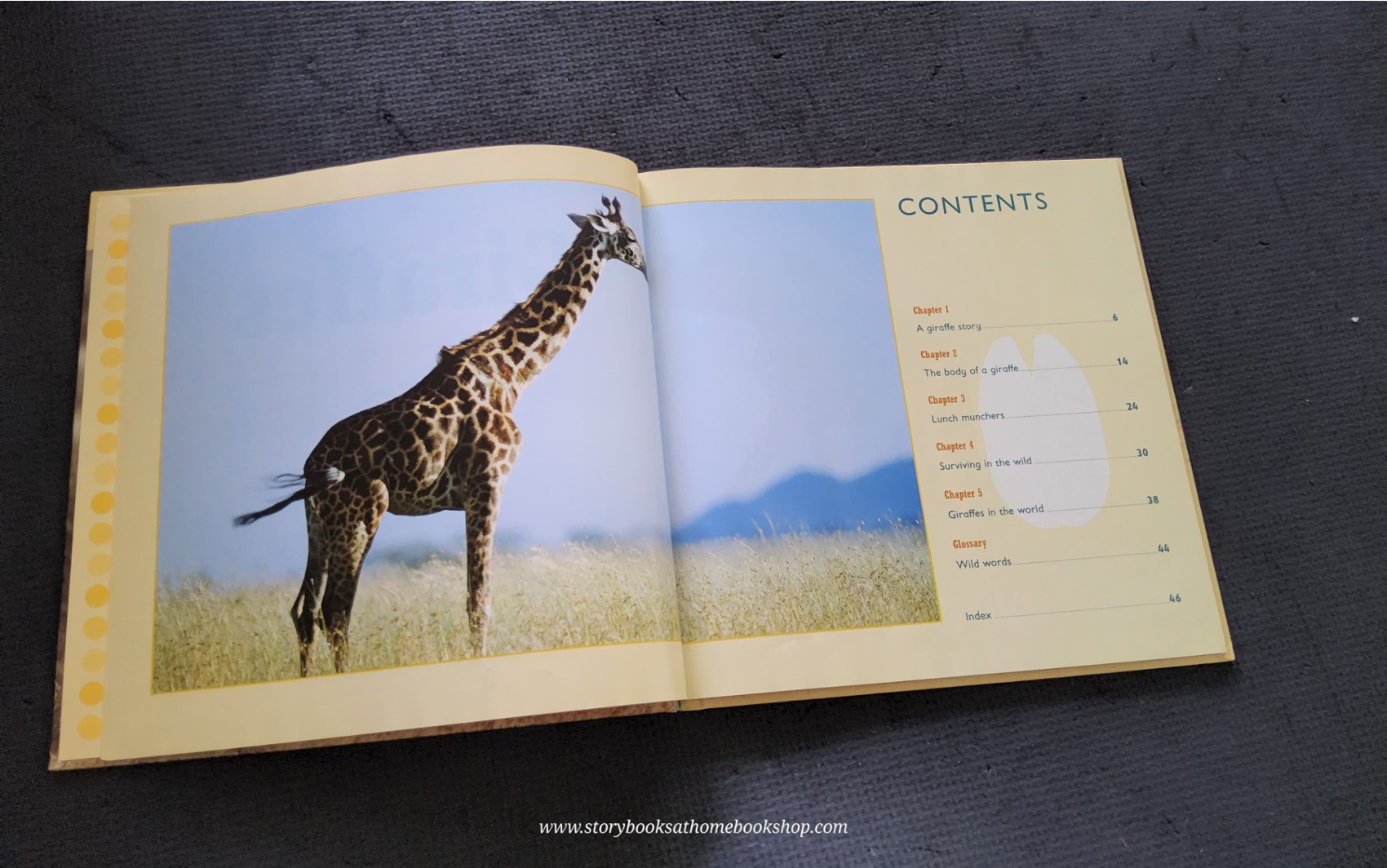 KNOWLEDGE BOOK** ♥️♥️ALL ABOUT ANIMAL:GIRAFFE