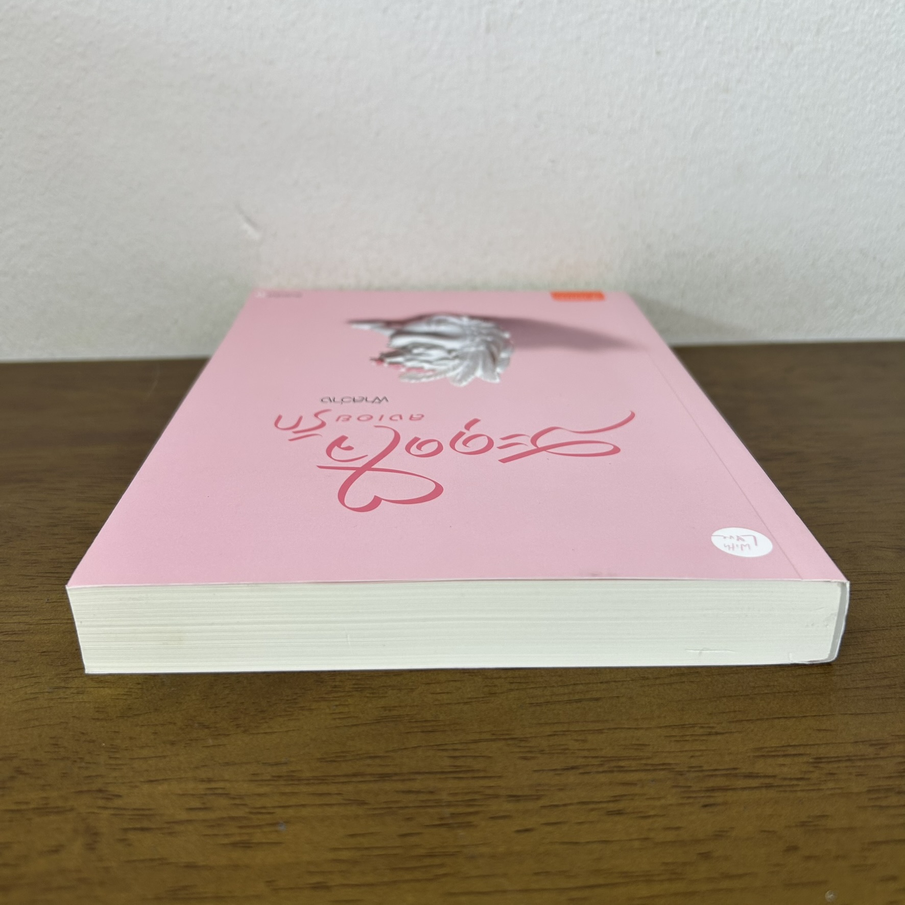 สะดุดใจลงเอยรัก ... ฟ้าสว่าง (มือสอง) โรแมนติก นิยาย แจ่มใส