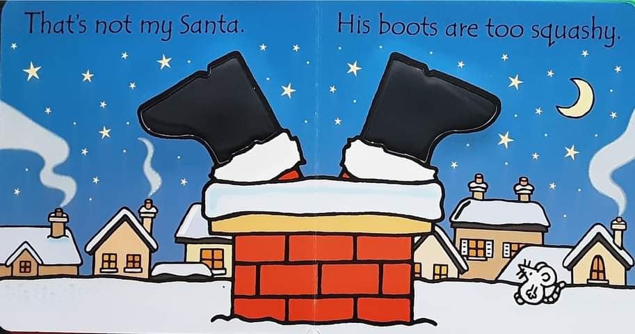 Touch and Feel Board Book** 🍅🍓That's not my Santa...