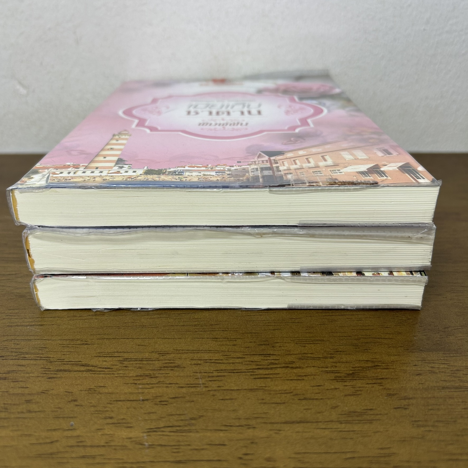 ชุด Mistress by Marriage - เมียเก็บซาตาน เมียเก็บจอมมาร เมียเก็บอสูร ... พิมพ์ฝัน ชินณิตา ปานไพลิน (มือสอง) พลอยวรรณกรรม