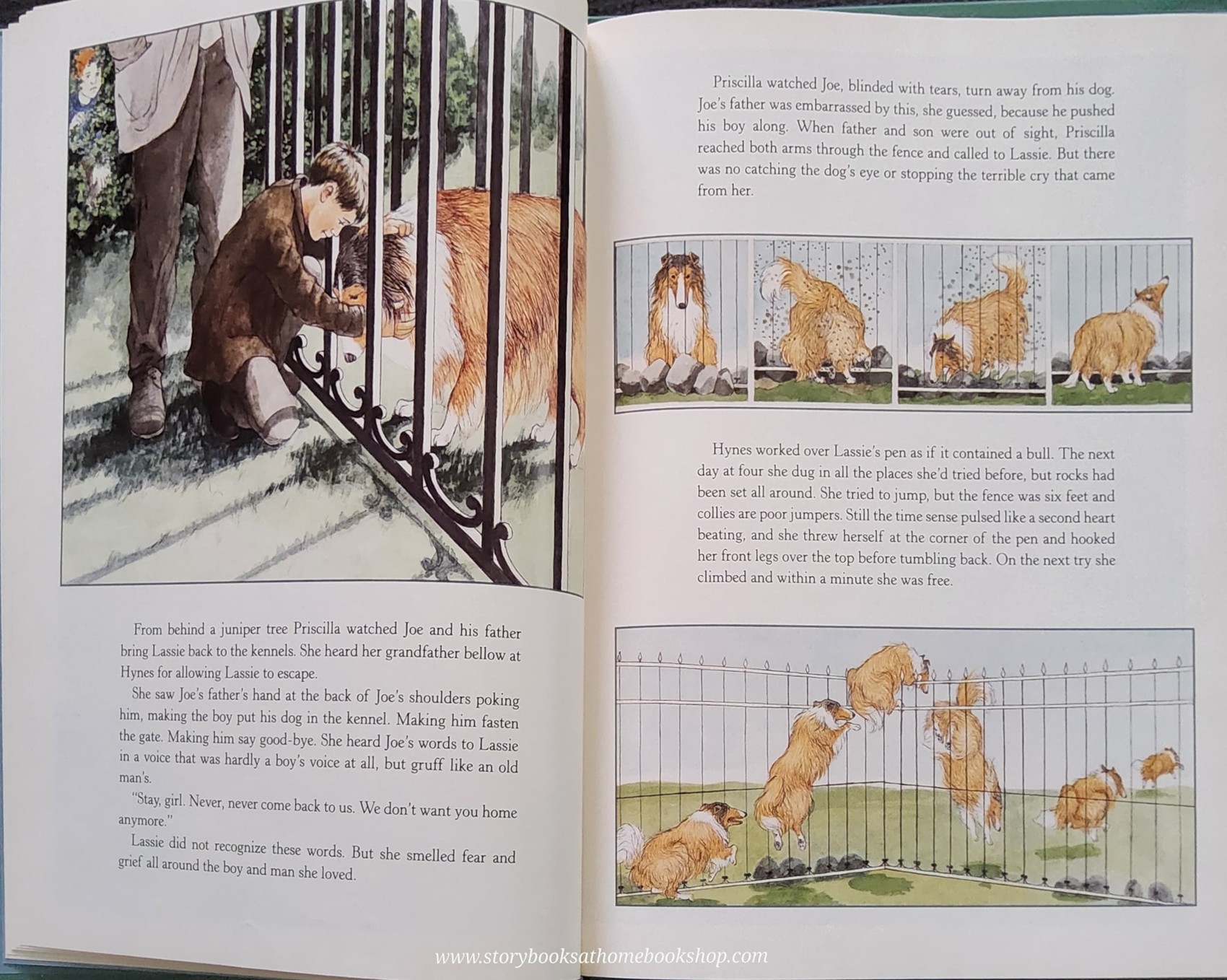 หนังสือนิทานปกแข็ง** 🍅🍓LASSIE COME-HOME