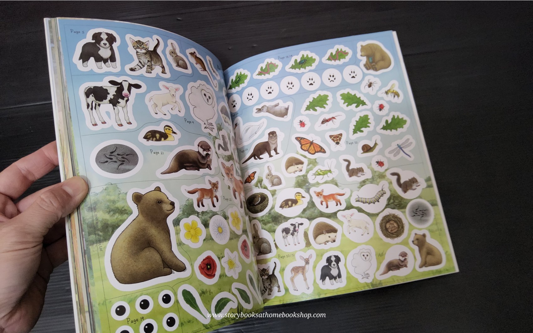 ACTIVITY BOOK ** ð
ð WE'RE GOING ON A BEAR HUNT LET'S DISCOVER BABY ANIMALS
