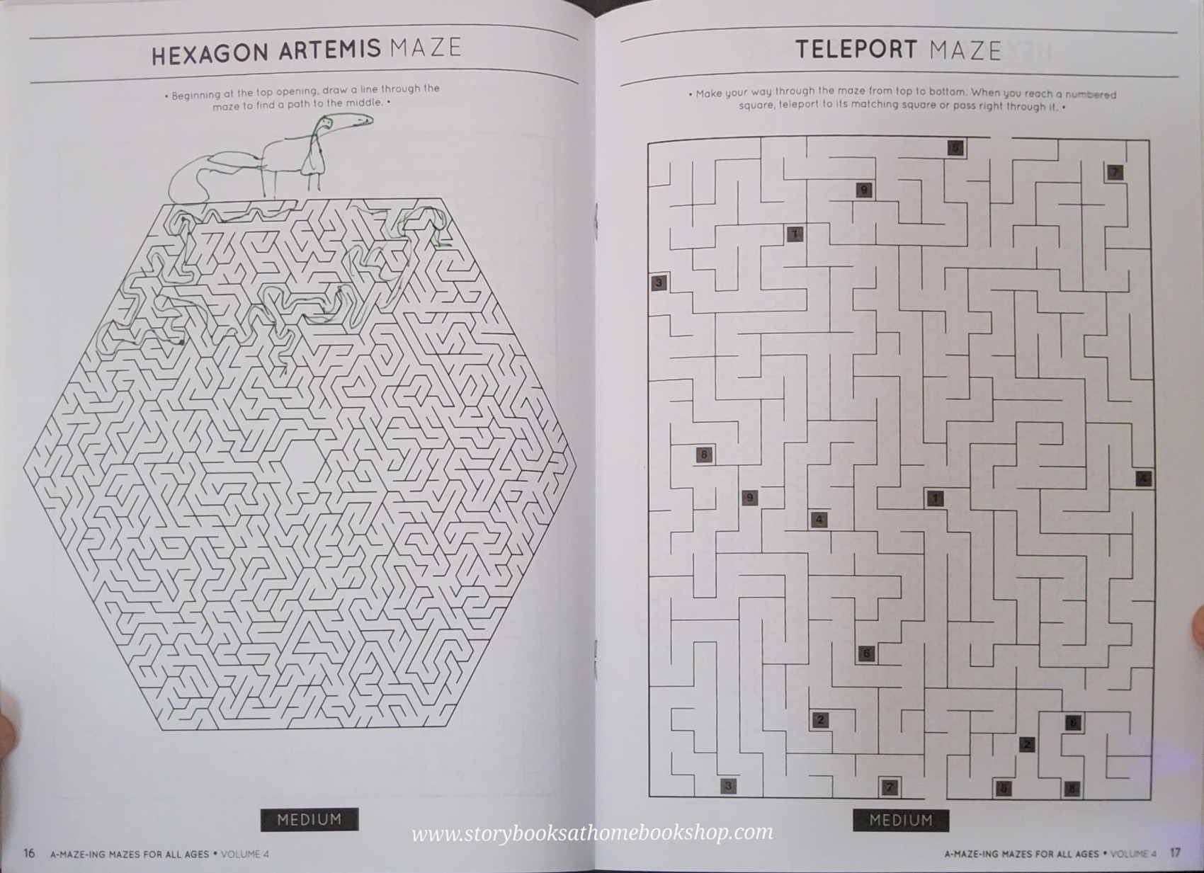 ACTIVITY BOOK** 🍅🍓A MAZE ING MAZES FOR ALL AGES (VOL3-4)