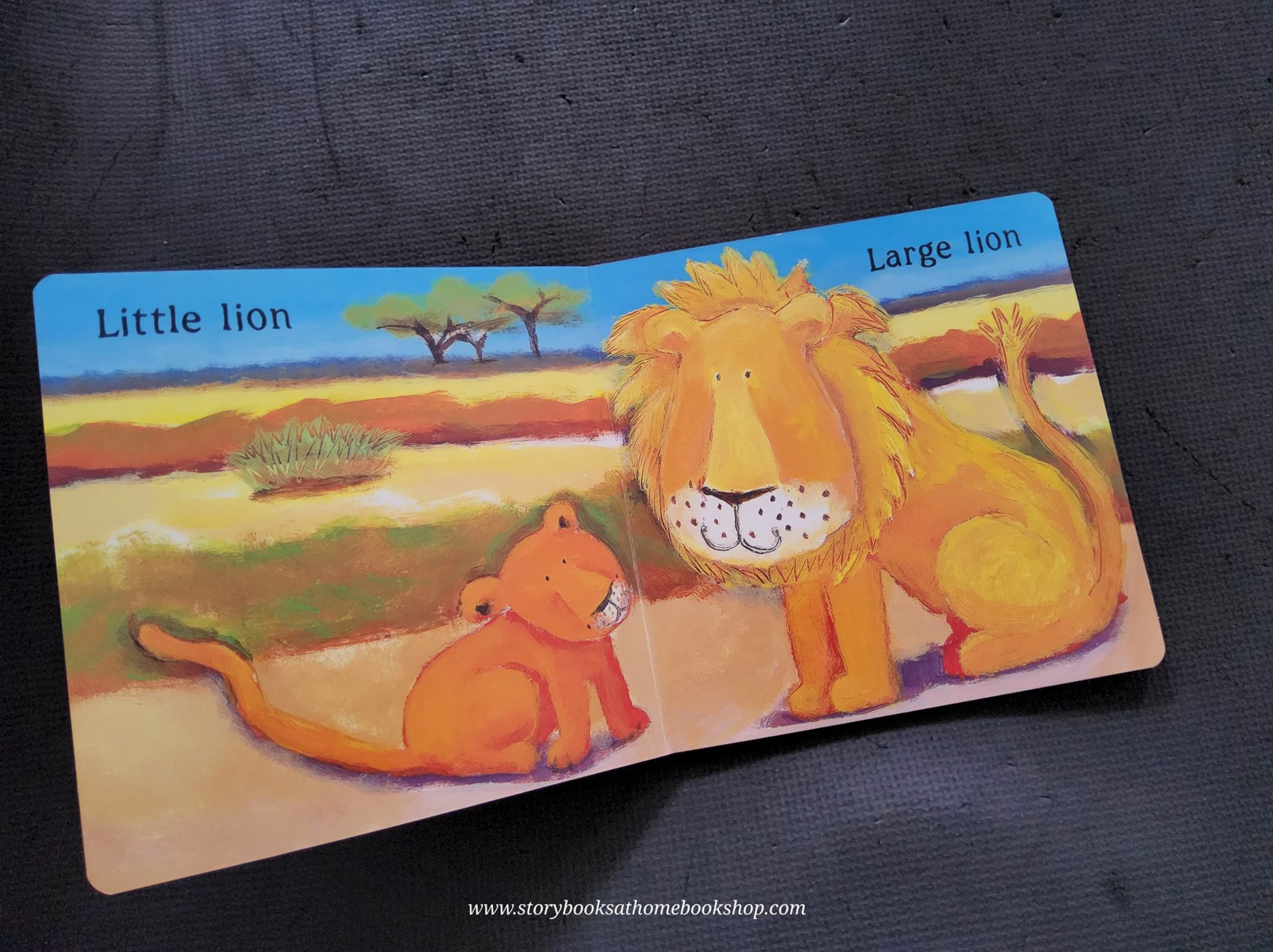 BOARD BOOK** 🍅🍅LULLABY LION BY VIVIAN FRENCH