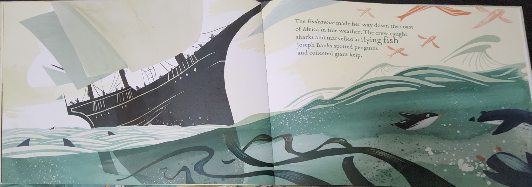 หนังสือนิทานปกแข็ง** 🍅🍓MEET CAPTAIN COOK BY RAE MURDIE