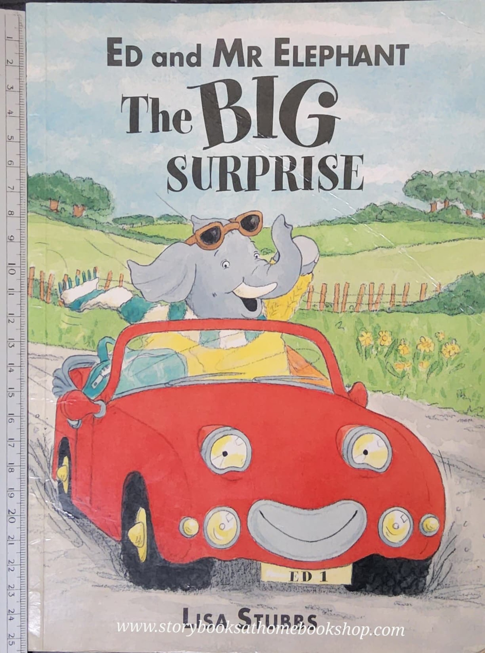 หนังสือนิทานปกอ่อน ** 🍅🍓THE BIG SURPRISE