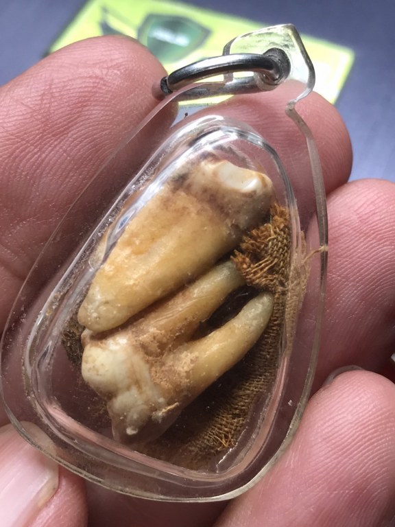 พระทันตธาตุ (คู่ ๒องค์) หลวงปู่ดอนตัน วัดดอนตัน อ.ท่าวังผา จ.น่าน ได้มาจากคุณเก่งน่าน อายุ 43 ปี (พ.ศ.2566) ทำธุรกิจร้านอาหารและร้านบูชาพระที่จังหวัดน่าน พ่อหนานน้อย ปู่ของคุณเก่งน่าน ได้รับมาจากมือหลวงปู่ด้วยตัวเอง พ่อหนานน้อยเสียชีวิตเมื่อปี ๒๕๔๘