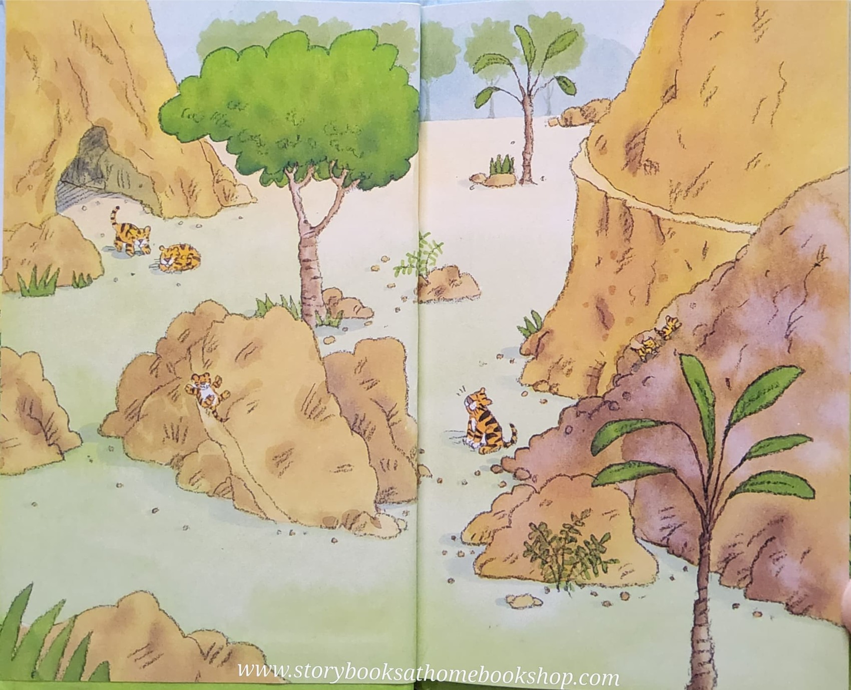 หนังสือนิทานปกแข็ง** 🍅BOLD LITTLE TIGER