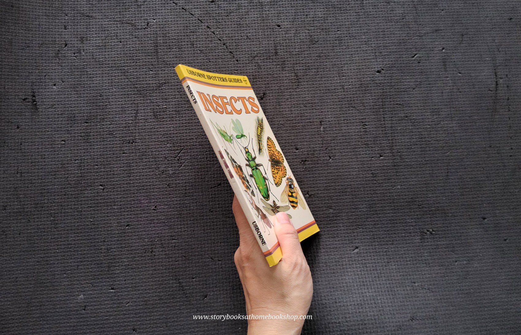 Knowledge Book** ð
ð
USBORNE SPOTTERS GUIDE: INSECT
