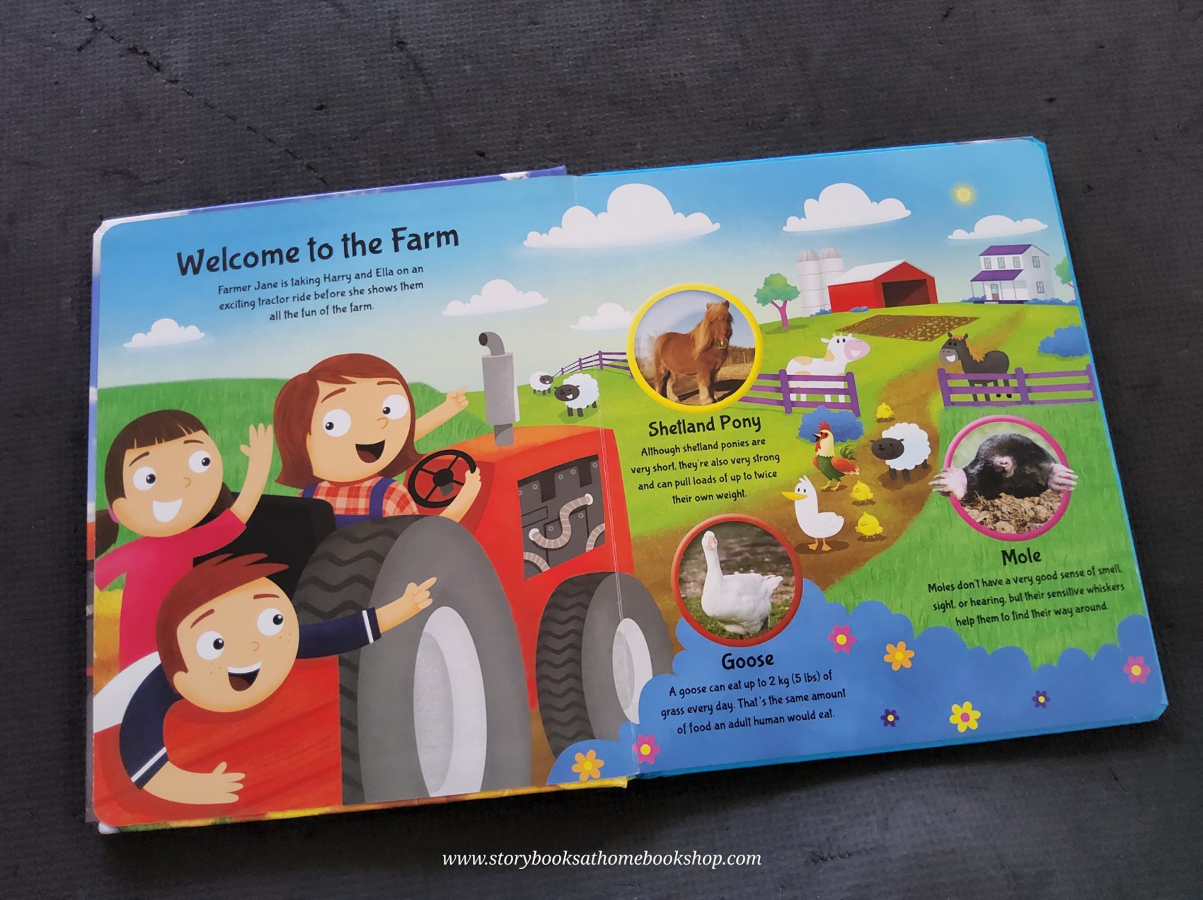 BOARD BOOK** 🍅🍓FARM EXPLORERS