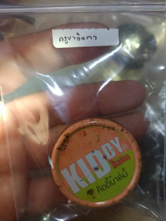 พระทันตธาตุ ครูบาอินตา วัดกู่คำ จ.ลำปาง ได้มาจากพ่อหนานชัย อายุ 75 ปี ปัจจุบันยังมีชีวิตอยู่ (บันทึก พ.ศ.2567) หากว่างจากรับใช้ครูบาอินตา ลุงหนานชัยก็จะไปขายล็อตเตอรี่ ใน อ.เมือง จ.ลำปาง ท่านได้พระทันตธาตุครูบาอินตามาเมื่อปี 2557