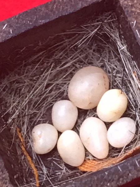 เกศา จีวร พระธาตุข้าวบิณฑ์ หลวงปู่ครูบาชัยยะวงศา เก็บในผอบไม้แบบชาวบ้านนี้ ทราบแต่ว่าได้มาจากชาวบ้านอำเภอลี้ ไม่มีข้อมูลมากนัก