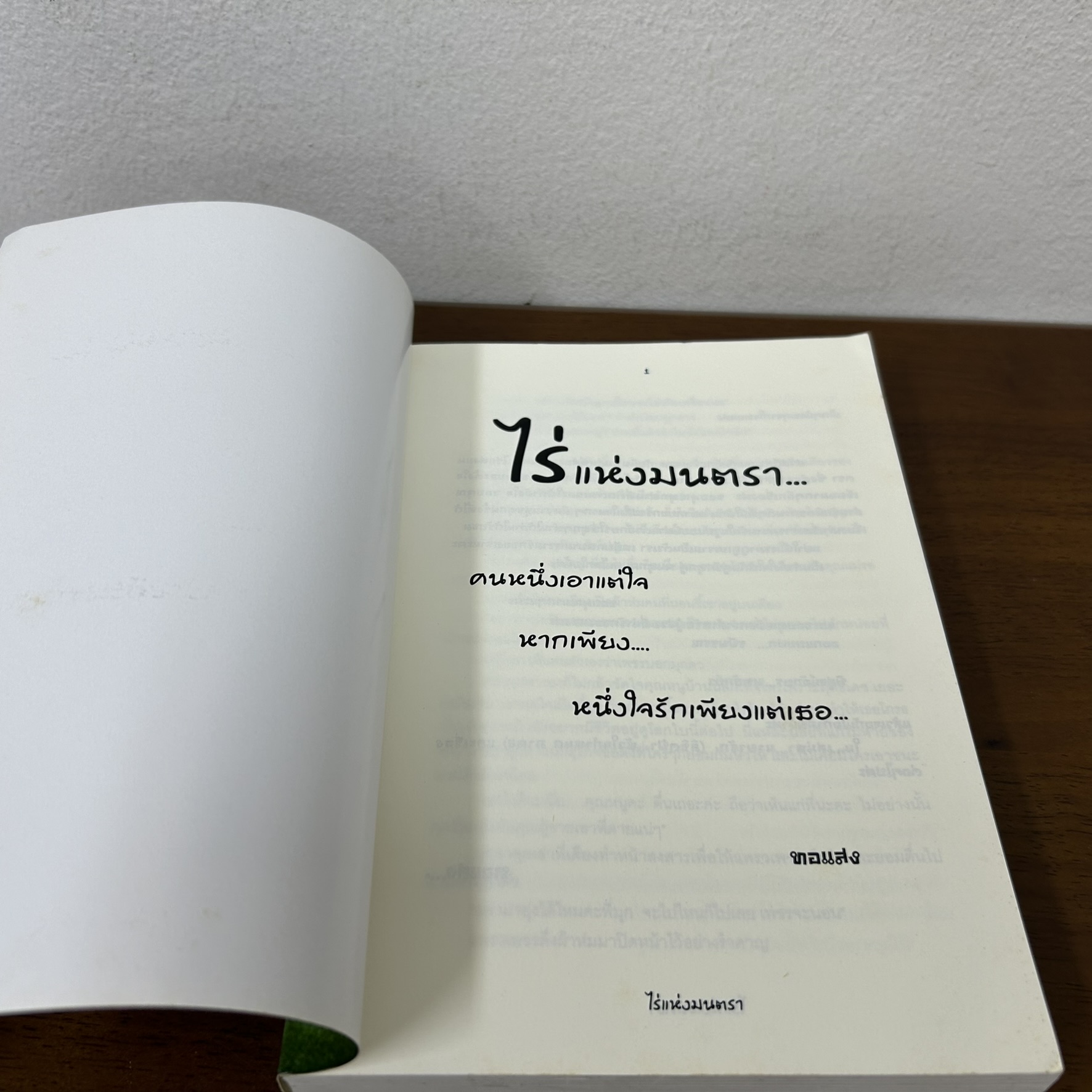 [YURI] ไร่แห่งมนตรา ... ทอเเสง (มือสอง) นิยาย โรแมนติก ยูริ