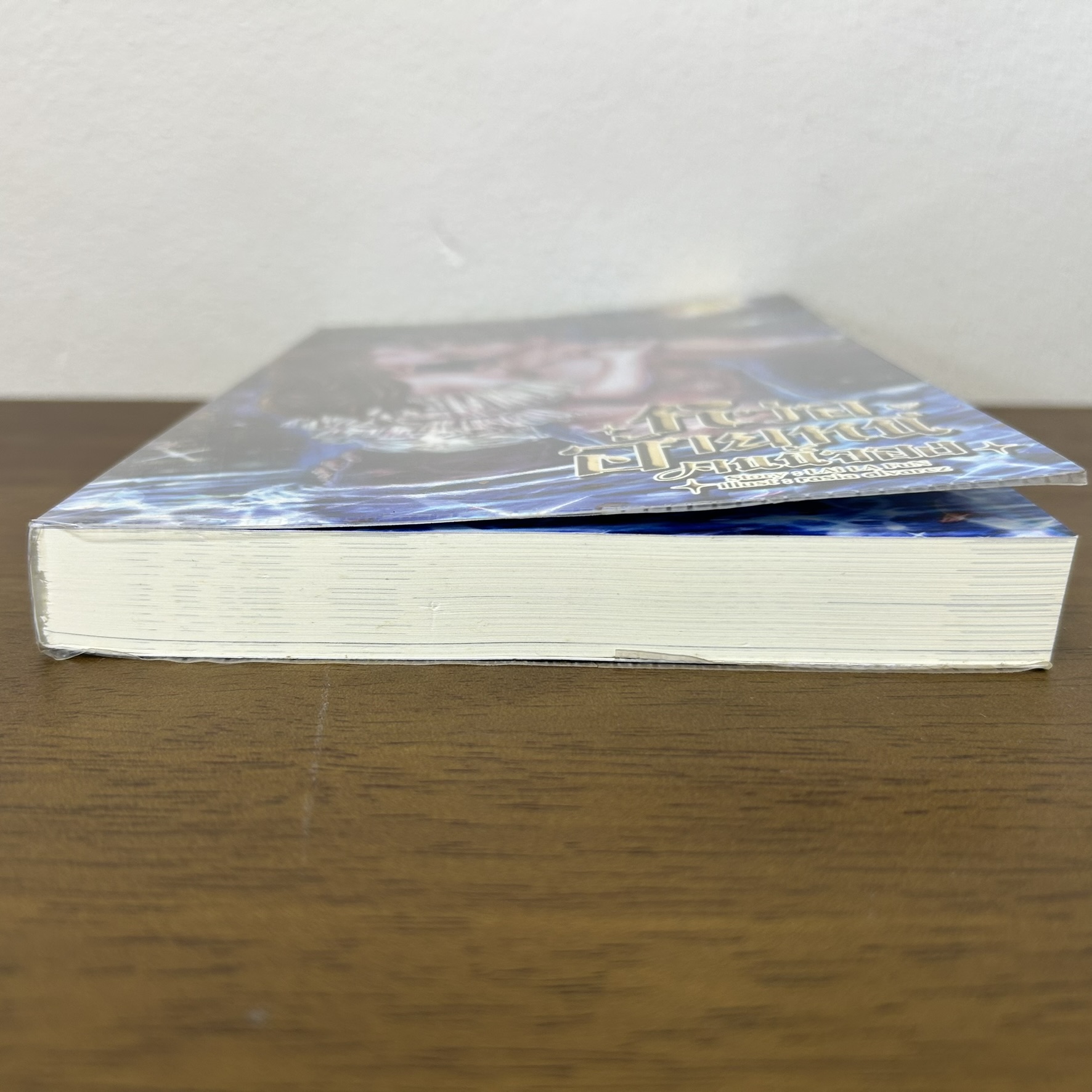 หว่ออ้ายหนี่ คนนี้จอง ... LAi LA FuN (มือหนึ่งซีล/มือสอง) นิยาย โรแมนติก ทำมือ