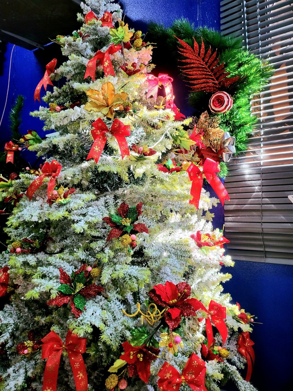 เราลองเลือกต้นคริสต์มาสปลอมให้คุณไหม