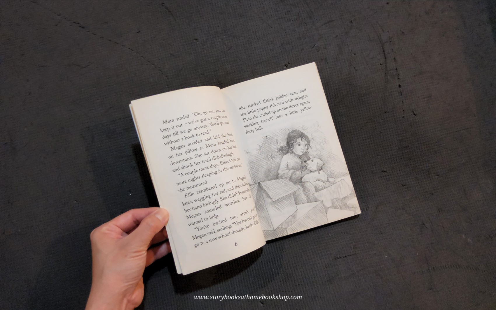 วรรณกรรมเยาวชน** 🍅🍓Ellie the Homesick Puppy by Holly Webb