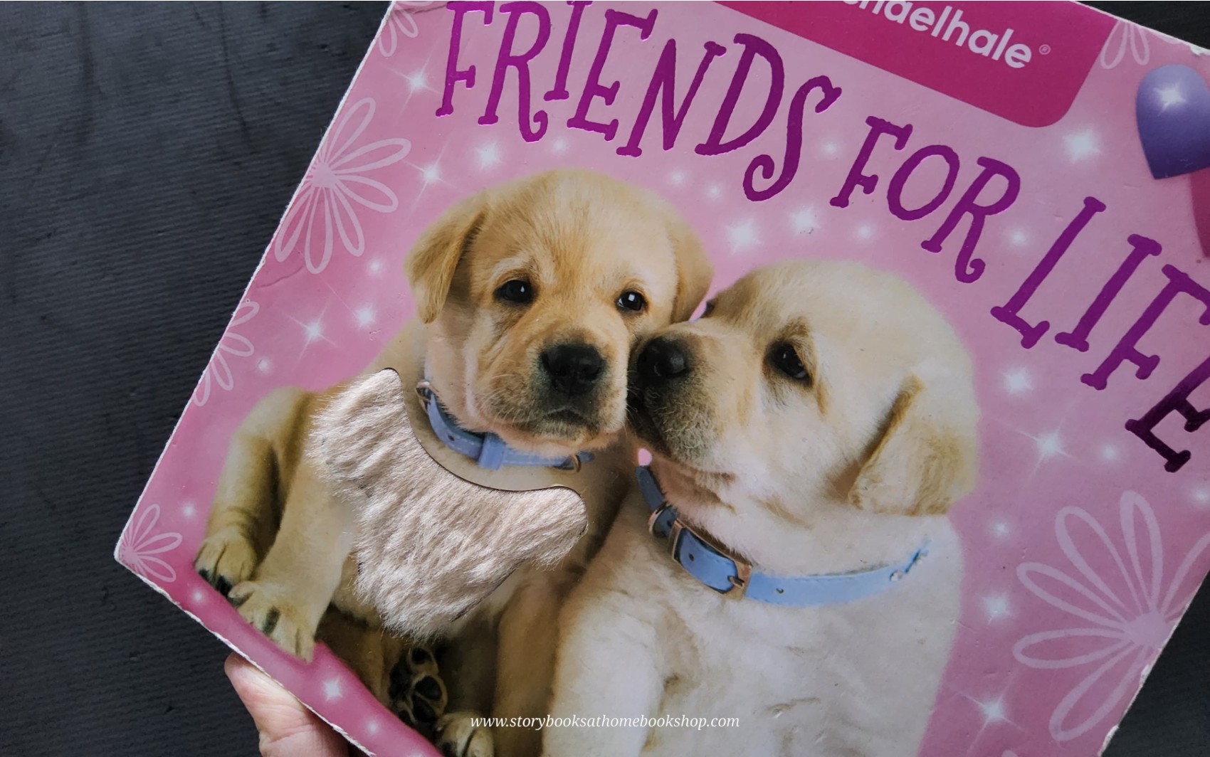 BOARD BOOK** 🍅🍓FRIENDS FOR LIFE