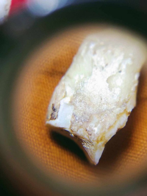 พระทันตธาตุ พระเกศา จีวร หลวงพ่อตี๋ วัดพรหมวิหาร อ.แม่สาย จ.เชียงราย เจ้าของเดิมชื่อลุงสงวน เคยเป็นคนขับรถหลวงพ่อตี๋ อยู่บ้านป่าเหมือด ต.แม่สาย อ.แม่สาย จ.เชียงราย เสียชีวิตเมื่อวันที่ 9 มีนาคม 2558 อายุ 78 ปี ได้มาจากพี่พร อายุ 47 ปี ลูกสาวลุงสงวน