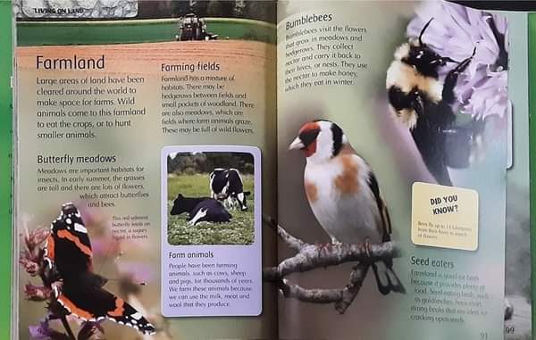 KNOWLEDGE BOOK ** 🍅🍓 MY FIRST ANIMAL ENCYCLOPEDIA