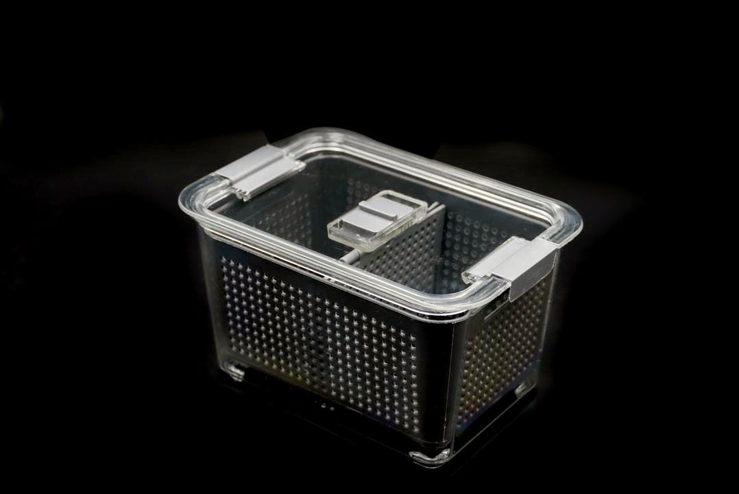 Draining box SHINMOYAMA กล่องจัดเก็บในตู้เย็น เก็บผัก ผลไม้ 1.7 L 13x20x12 cm สีเทา